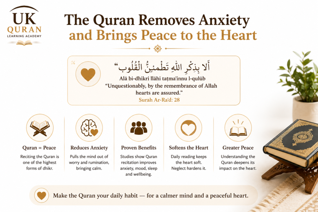 Motivation to Read Quran: 8 Powerful Reasons That Keep You Going 3 image 16